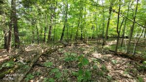 50 Finger Hill Road Saugerties, NY 12477