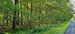 L68.3 Bumphill Road Greenfield Center, NY 12833