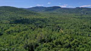 49 The Woods North Creek, NY 12853