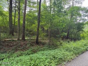 L122.01 Overlook Lane Princetown, NY 12056