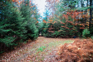 L4.123 Off Eminence Road Summit, NY 12175