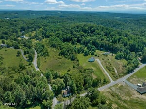 37 Mammoth Spring Road Wynantskill, NY 12198