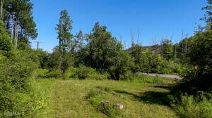 5603 Grant Hill Road Voorheesville, NY 12186