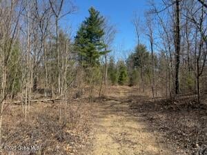 69 Plant Halfmoon, NY 12065