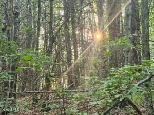 L-11 Rebel Rdg Jefferson, NY 12093