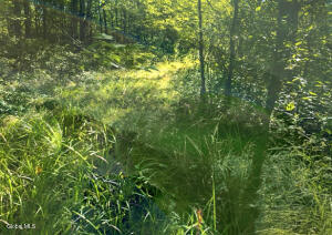 L12.3 Humphrey Road Fultonville, NY 12072