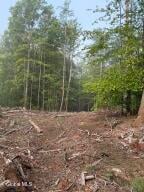 336 Dickinson Hill Road Bolton, NY 12824