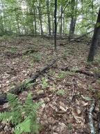 342 Dickinson Hill Road Bolton, NY 12824