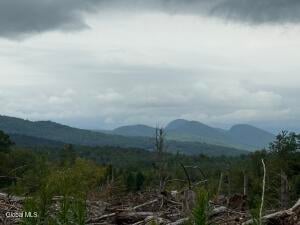 362 Dickinson Hill Road Bolton, NY 12824