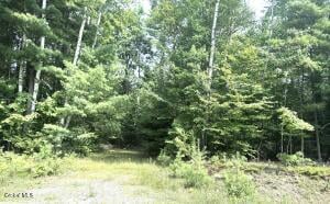 L21 New (Off) County Route 11 Bolton, NY 12814