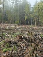 352 Dickinson Hill Road Bolton, NY 12824