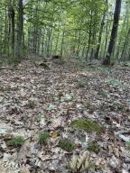 354 Dickinson Hill Road Bolton, NY 12824