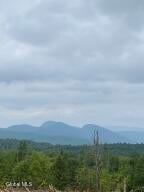 356 Dickinson Hill Road Bolton, NY 12824