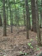 344 Dickinson Hill Road Bolton, NY 12824