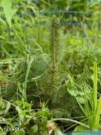 84 Baertschi Road Hoosick Falls, NY 12090