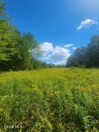 L1.2 Mcmillan Road Duanesburg, NY 12137