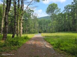 31 RJ Way Shushan, NY 12873