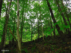 L2.6 Goodman Road Fort Ann, NY 12827