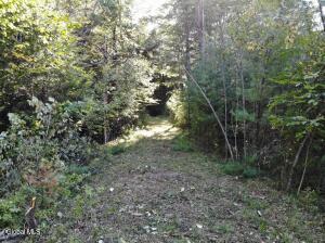 L8 Wrights Farm Road Bolton Landing, NY 12814