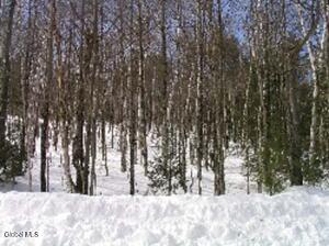 132 River Road North Creek, NY 12853