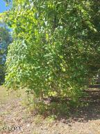 L1 Northern Boulevard Castleton, NY 12033