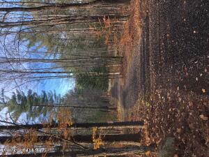 2442 State Rt 8 Lake Pleasant, NY 12108