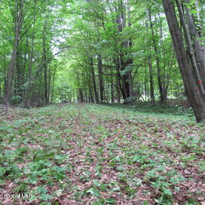 L11 Barker Rd Edinburg, NY 12134