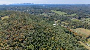 L12.100 Willsie Road Berne, NY 12023