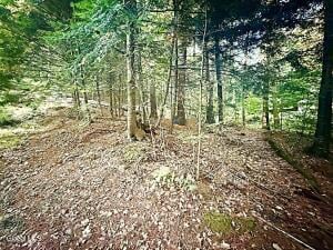 L31 Clarkson Road Chestertown, NY 12817