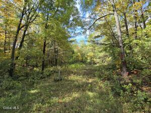 355 Grange Road Greenfield Center, NY 12833