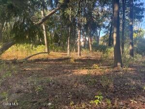 2482 Troy Schenectady Road Schenectady, NY 12309