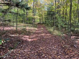 123 Wildwood Lane Middleburgh, NY 12122