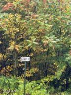 L22 North Road Dolgeville, NY 13329