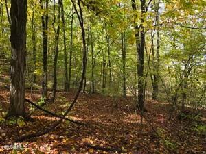 L25 River Road Ticonderoga, NY 12883