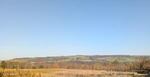 377 Zarcarco Road Amsterdam, NY 12010