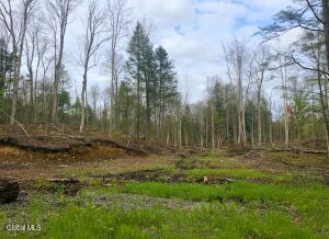 L42 Barlow Road Bleecker, NY 12078