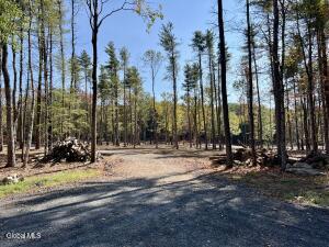 L12 Cr 353 Rensselaerville, NY 12147