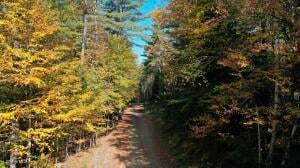 173 Cleveland Road Johnsburg, NY 12843