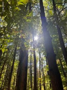 87 Bulson Road Troy, NY 12180