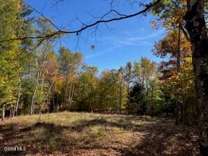 30 Mohican Trail North Creek, NY 12811