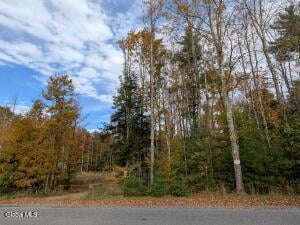 L23.3 Potter Hollow Road Galway, NY 12074