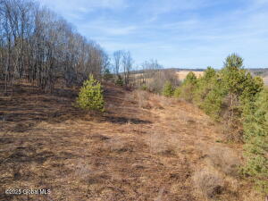 L20.2 Indian Brook Road Greene, NY 13778