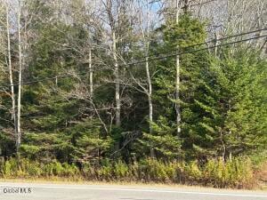 2461 State Highway 10 Caroga, NY 12095