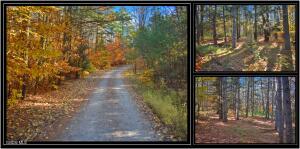 L7 MacGlashan Lane Chestertown, NY 12817