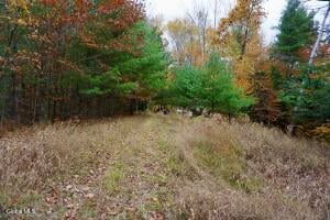 75 Carey Road Day, NY 12835