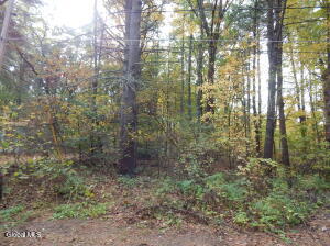 L1 Vincek Lane Saratoga Springs, NY 12866