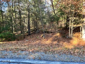 L5.322 South Trout Lake Road Bolton Landing, NY 12814