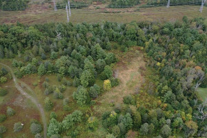 9676 ROUTE 9W Athens, NY 12015