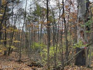 954A Route 9N Ausable Forks, NY 12912
