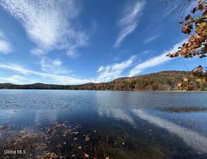 12 Teds Way Diamond Point, NY 12824